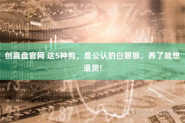 创赢盘官网 这5种狗，是公认的白眼狼，养了就想退货!
