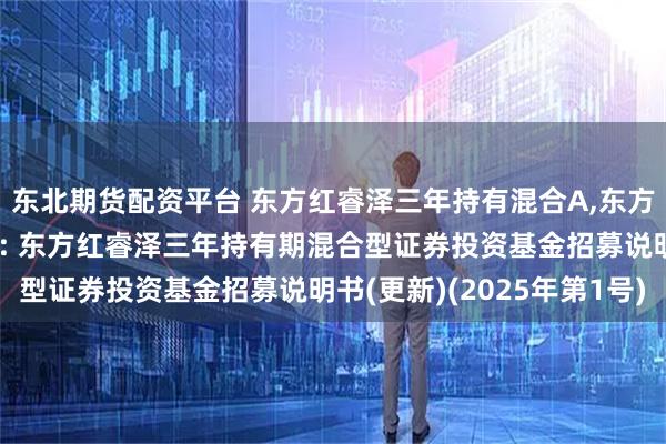 东北期货配资平台 东方红睿泽三年持有混合A,东方红睿泽三年持有混合C: 东方红睿泽三年持有期混合型证券投资基金招募说明书(更新)(2025年第1号)