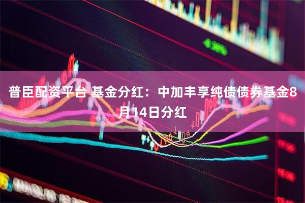 普臣配资平台 基金分红：中加丰享纯债债券基金8月14日分红