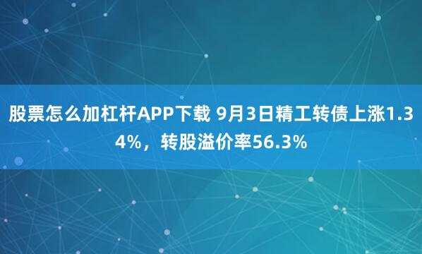 股票怎么加杠杆APP下载 9月3日精工转债上涨1.34%，转股溢价率56.3%